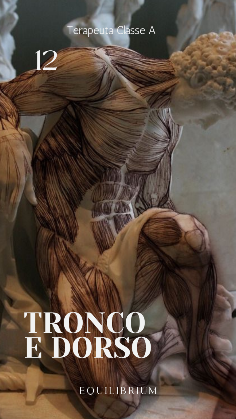 Capas aulas kiwify - 12