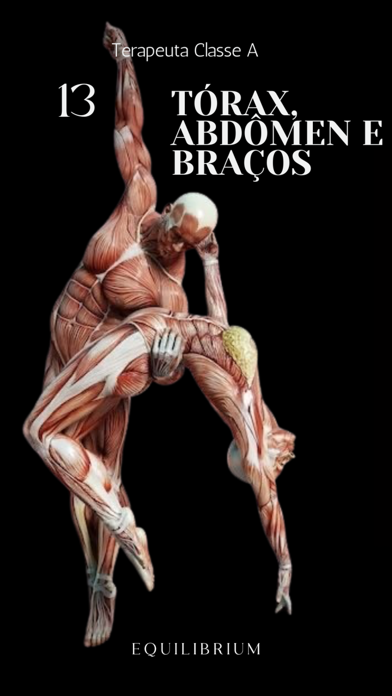 Capas aulas kiwify - 13