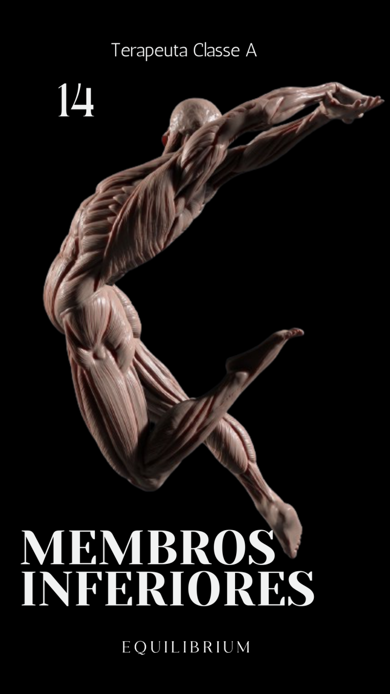 Capas aulas kiwify - 14