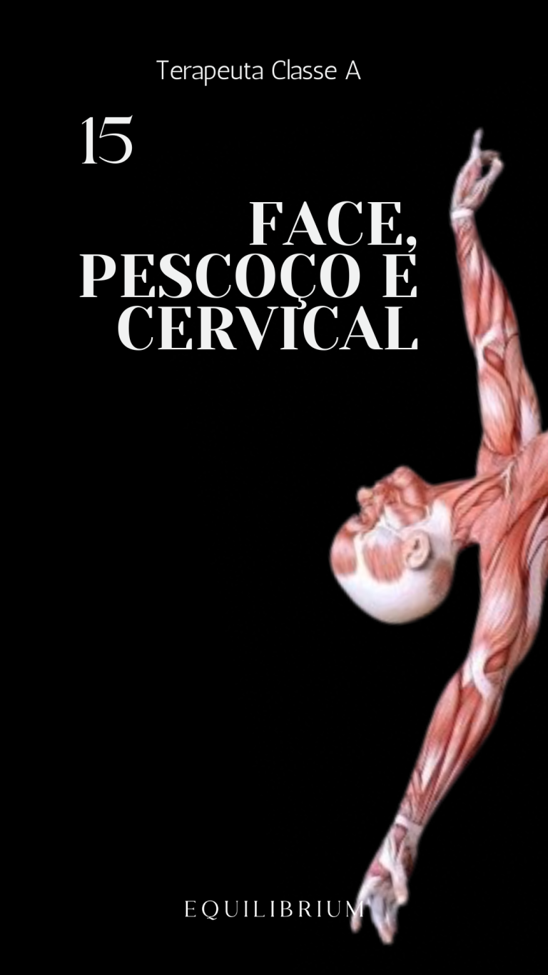 Capas aulas kiwify - 15